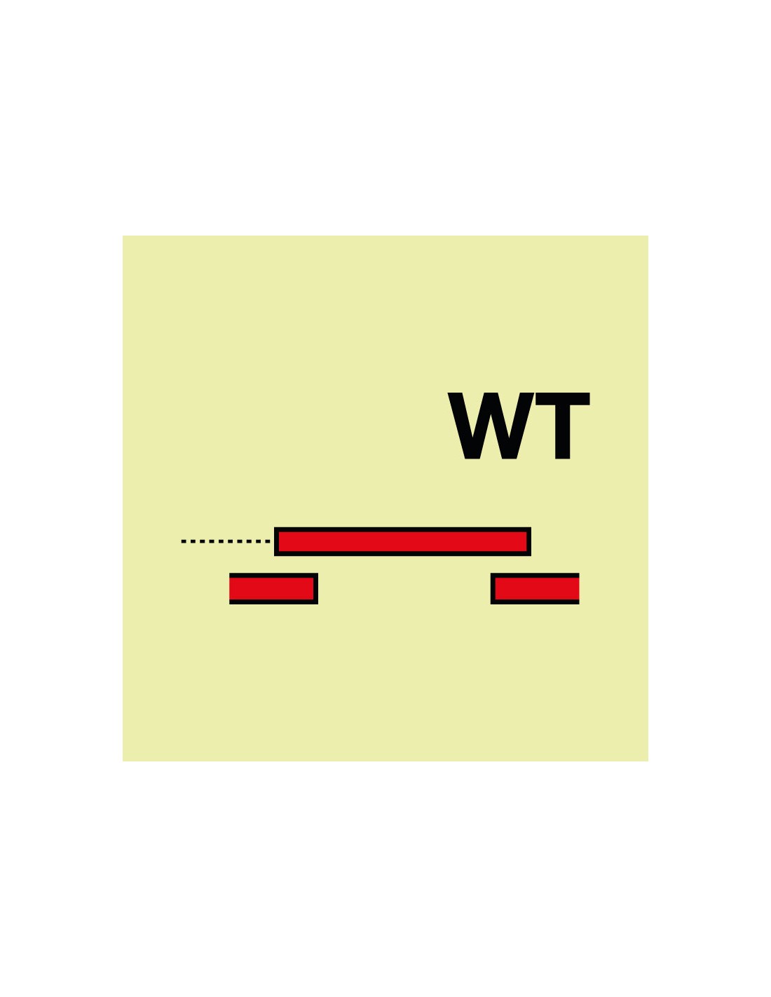 Señal Luminiscente PVC 1,1 mm. Puerta de Incendios WT Clase A