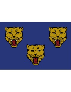 Bandera de Shrewsbury