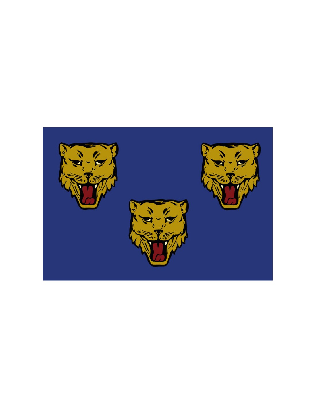 Bandera de Shrewsbury