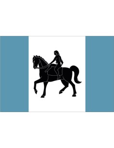 Bandera de Coventry