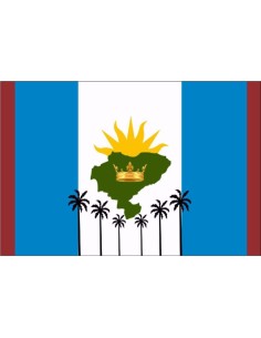 Bandera de San Luis del Palmar