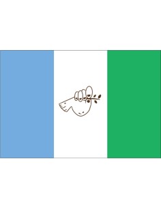 Bandera de La Paz. Argentina