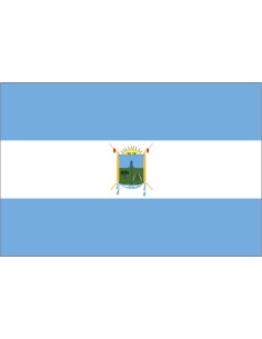 Bandera de Toay