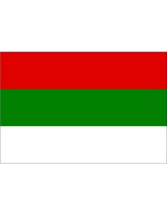 Bandera de Apóstoles