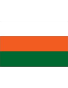 Bandera de Caraguatay