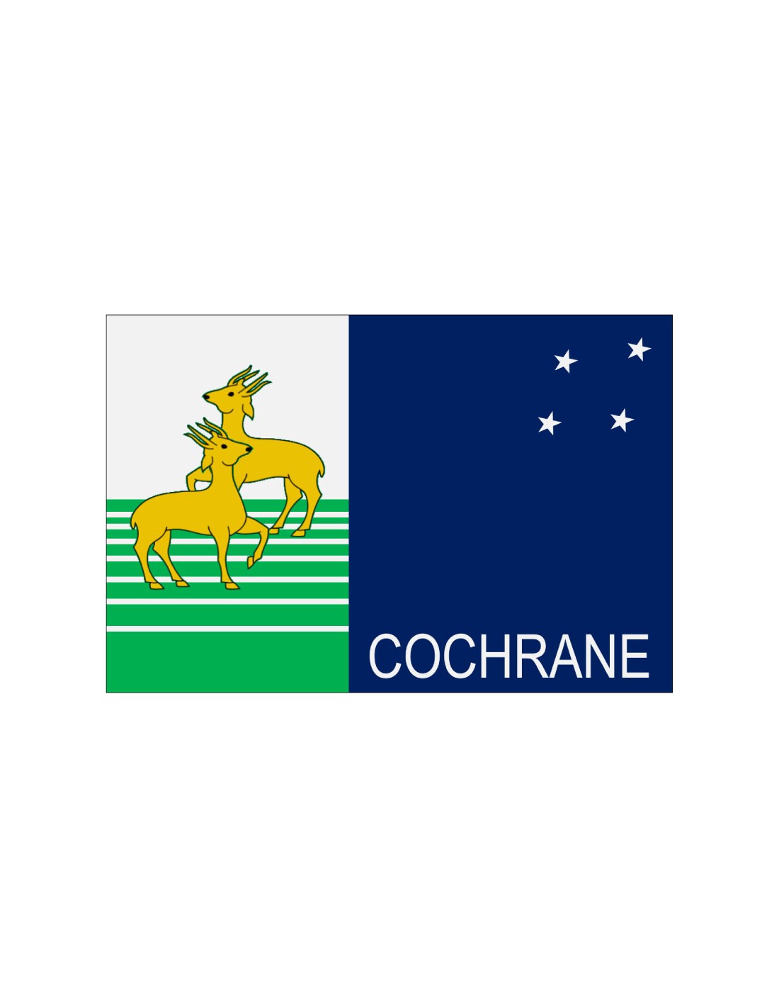 Bandera de Cochrane