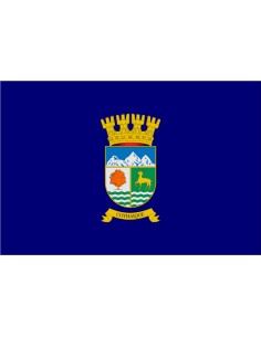 Bandera de Coyhaique