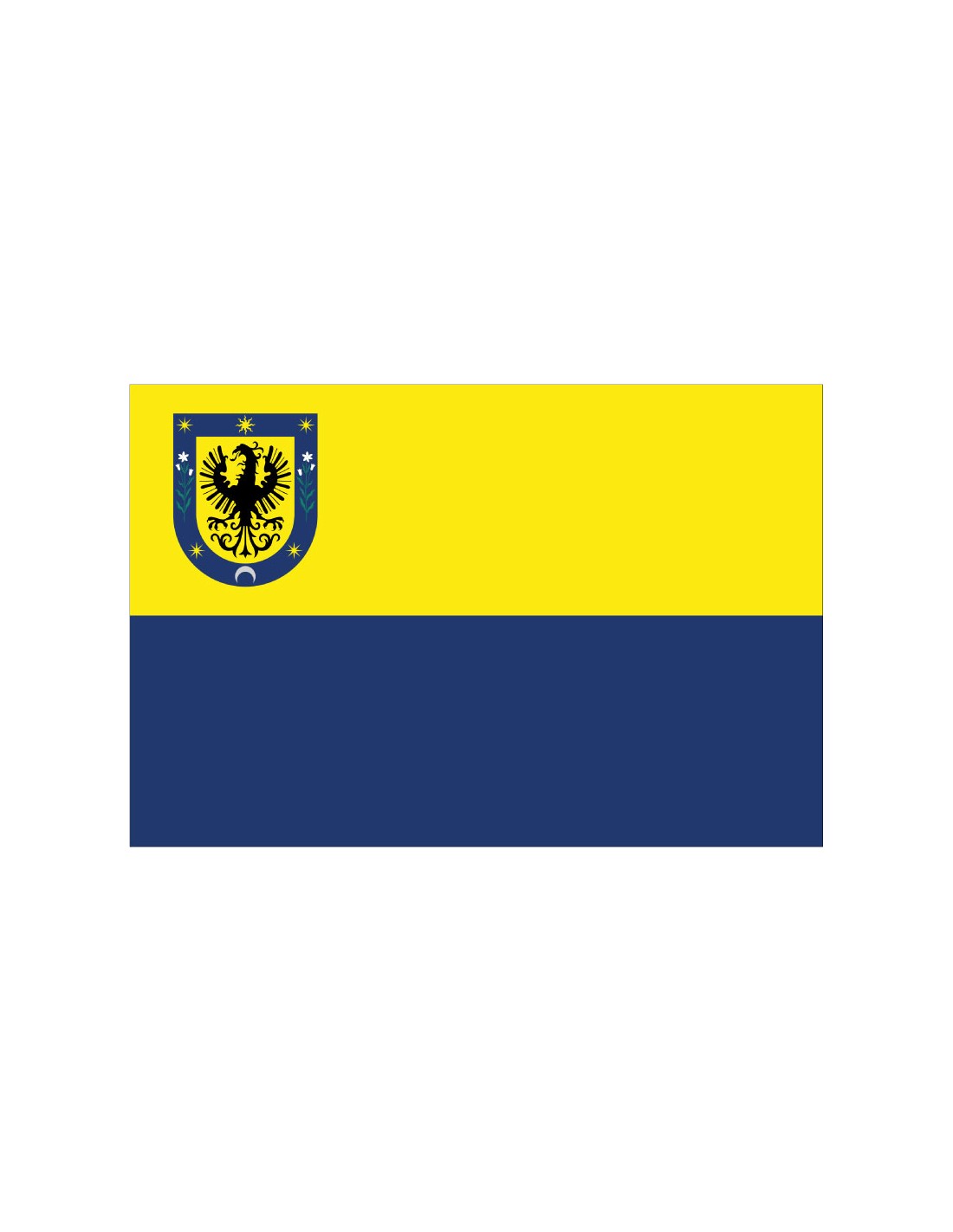 Bandera de Concepción