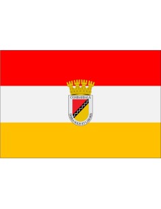 Bandera de Combarbalá