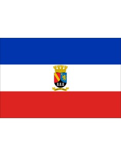 Bandera de Chillán Viejo