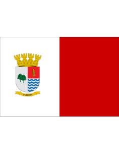 Bandera de Yungay. Chile