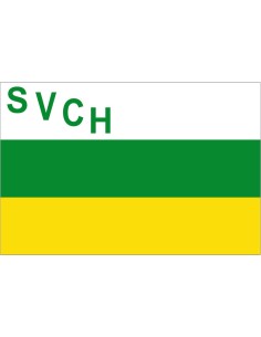 Bandera de San Vicente de...