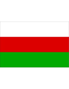 Bandera de Sincelejo