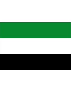 Bandera del Departamento de...