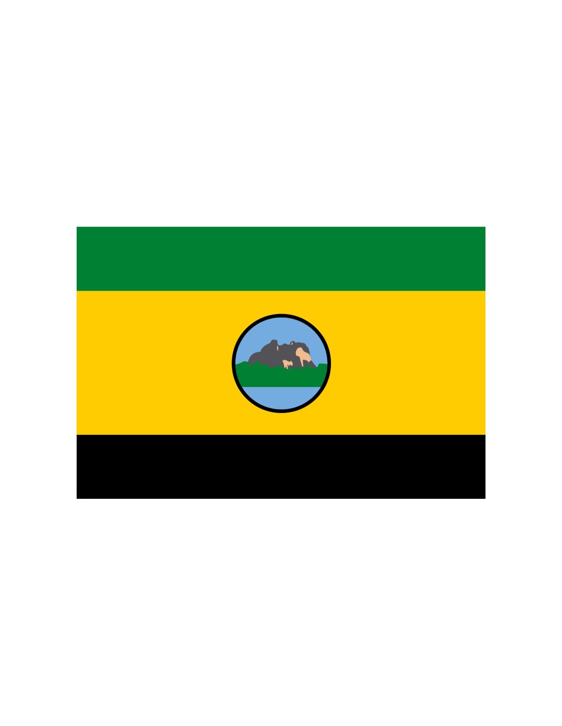 Bandera de Río Negro. Venezuela