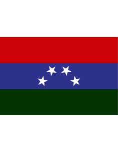 Bandera de Pedraza. Venezuela