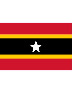 Bandera de Juan José Mora