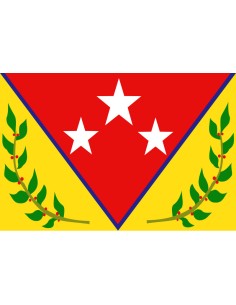 Bandera de Antonio Pinto...