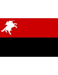 Bandera de Paez. Portuguesa