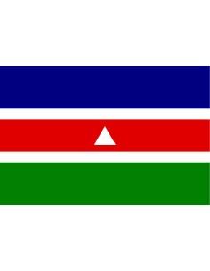 Bandera de Juiz de Fora