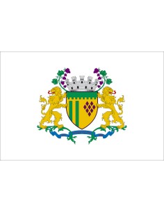 Bandera de Caxias do Sul