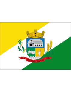 Bandera de Coronel Bicaco