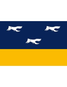 Bandera de Arapongas
