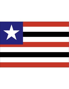 Bandera del Estado de...