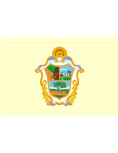 Bandera de Manaus. Brasil