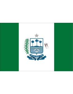 Bandera de Avelino Lopes....