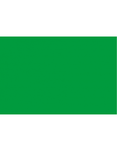 Bandera de Playa Verde