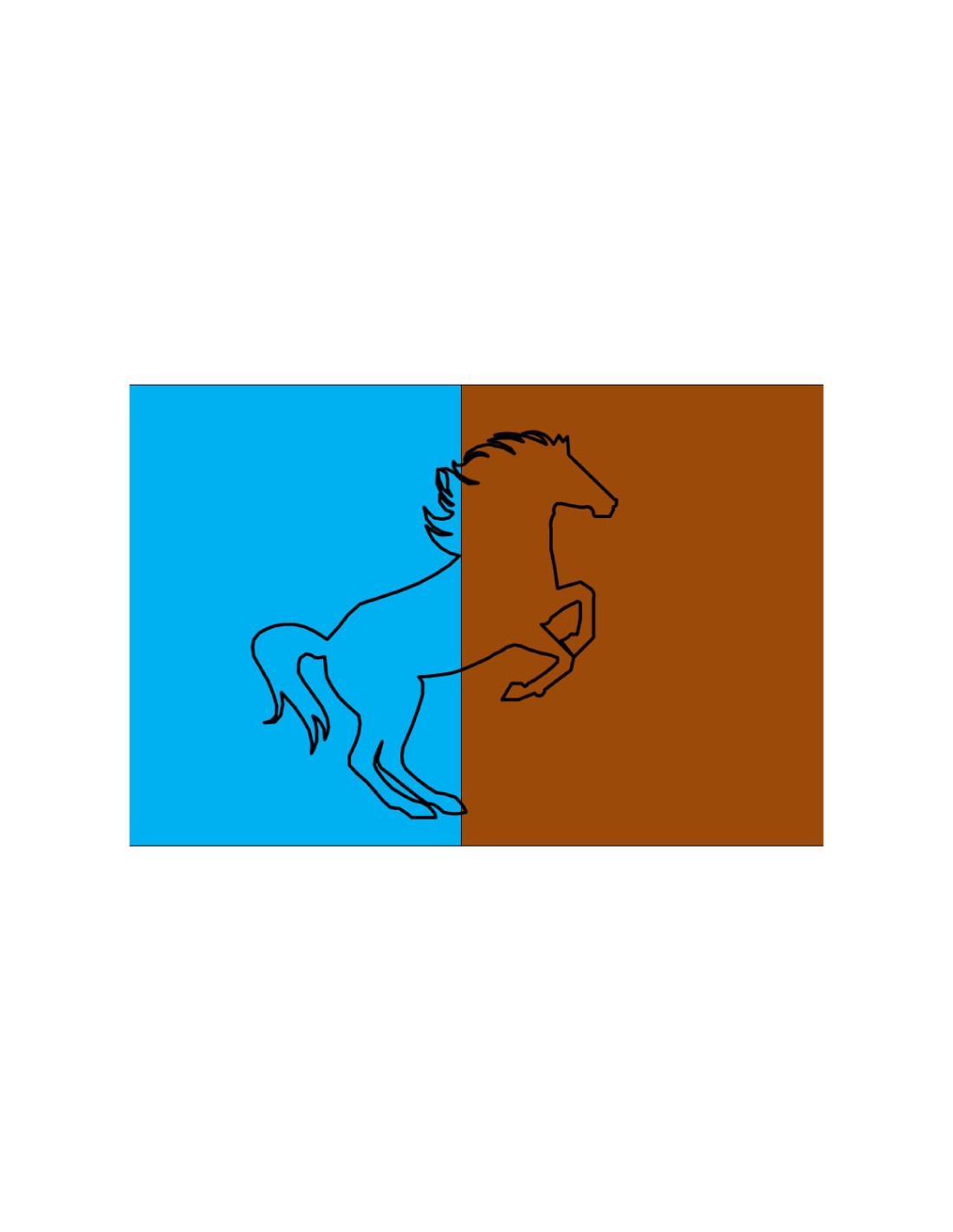 Bandera Provincia de Boulmane