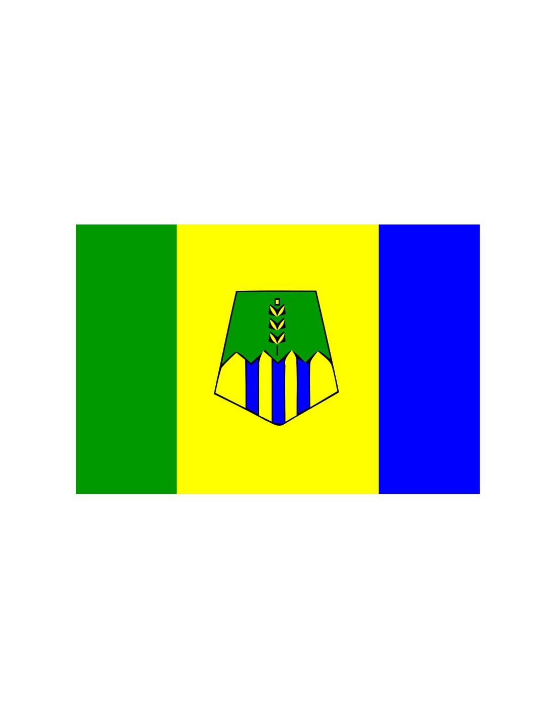 Bandera Provincia de Taounate