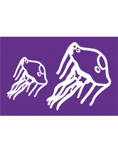 Bandera Medusas Alerta