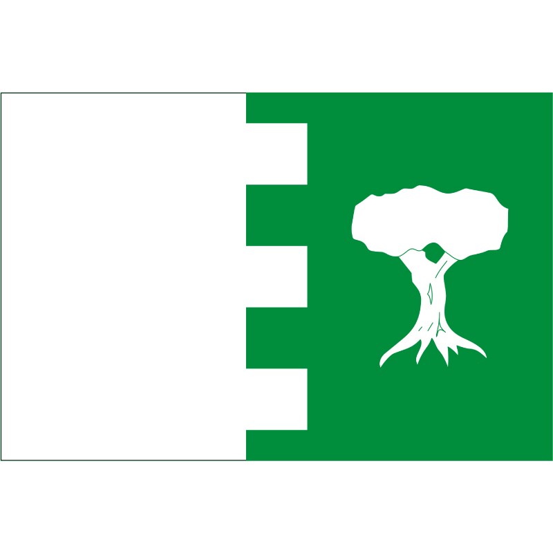 Bandera de Agrón