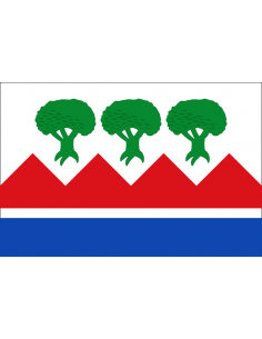 Bandera de Benalúa de las...