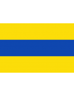 Bandera de Villanueva del...