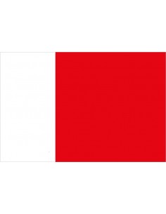 Bandera de Paracuellos de...