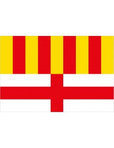 Bandera de Manresa