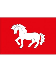 Bandera de Sant Martí...