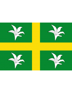 Bandera de Santa Cruz de...