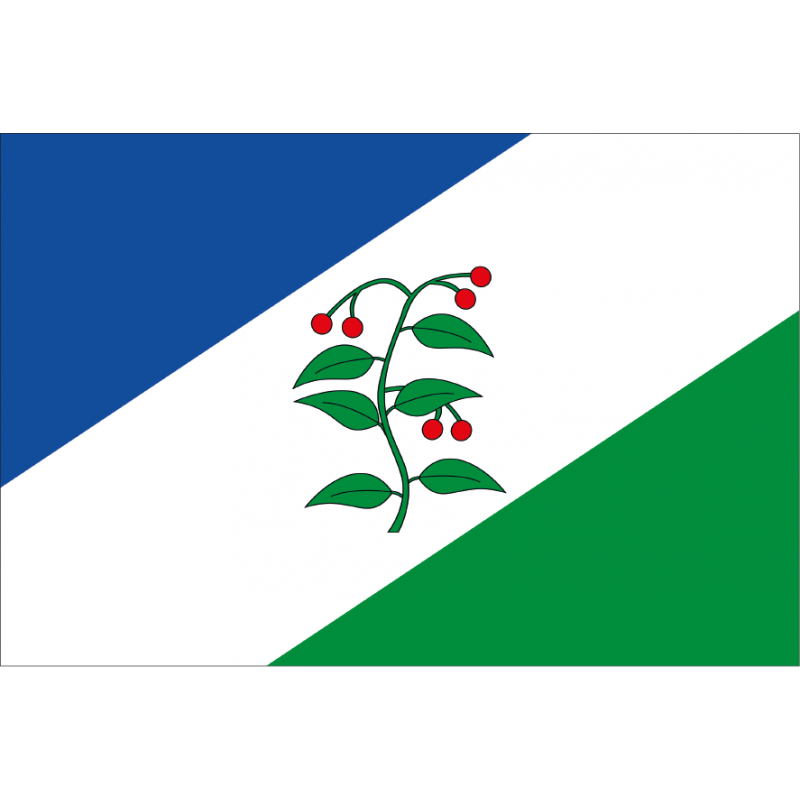 Bandera de Arbúcies