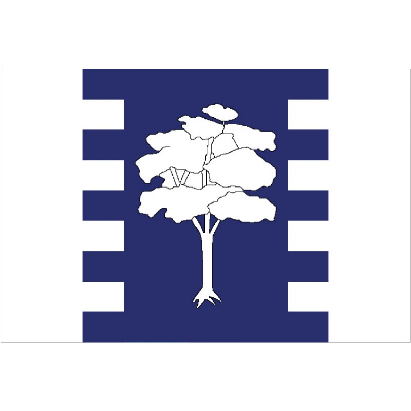 Bandera de Algarrobo