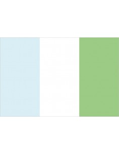 Bandera de San Pedro del...