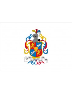 Bandera de Villanueva del...