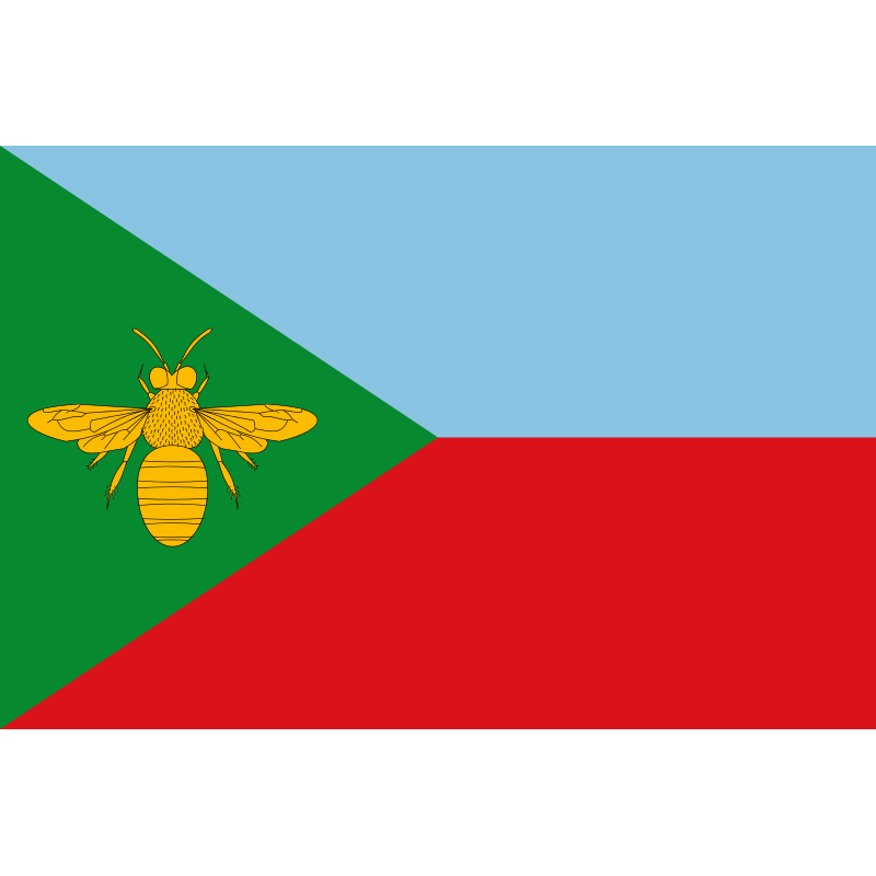 Bandera de Belvís de la Jara