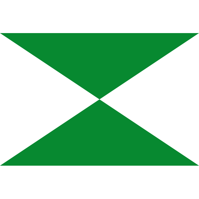 Bandera de Cabañas de Yepes