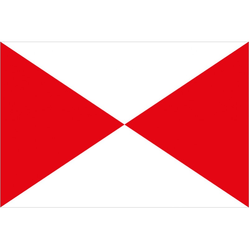 Bandera de Camarena