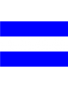 Bandera de Talavera de la...