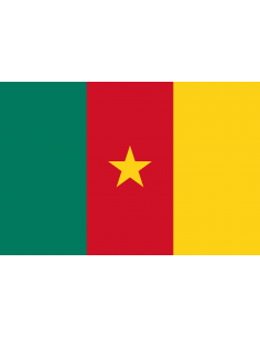 Bandera de Camerún